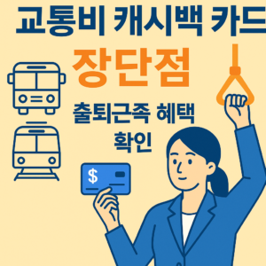 교통비 캐시백 카드 장단점
