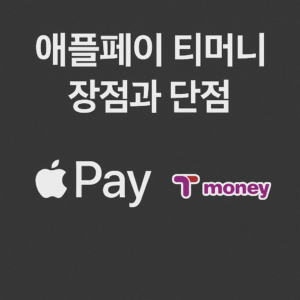 애플페이 티머니