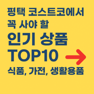 평택 코스트코 인기 상품